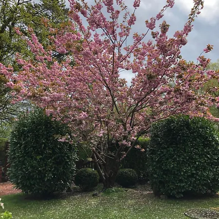 Daire Appartement Strande Strande