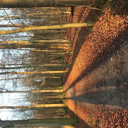 Appartement Strande *