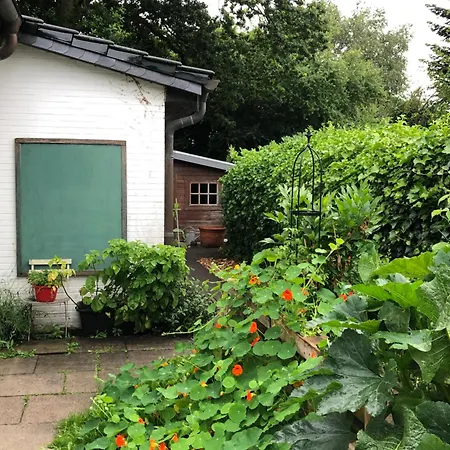 Appartement Strande Daire *