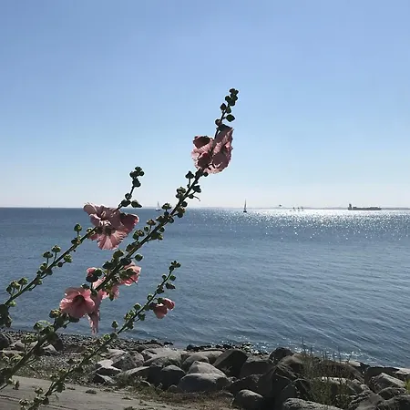 Appartement Strande *