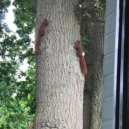 Appartement Strande Daire *